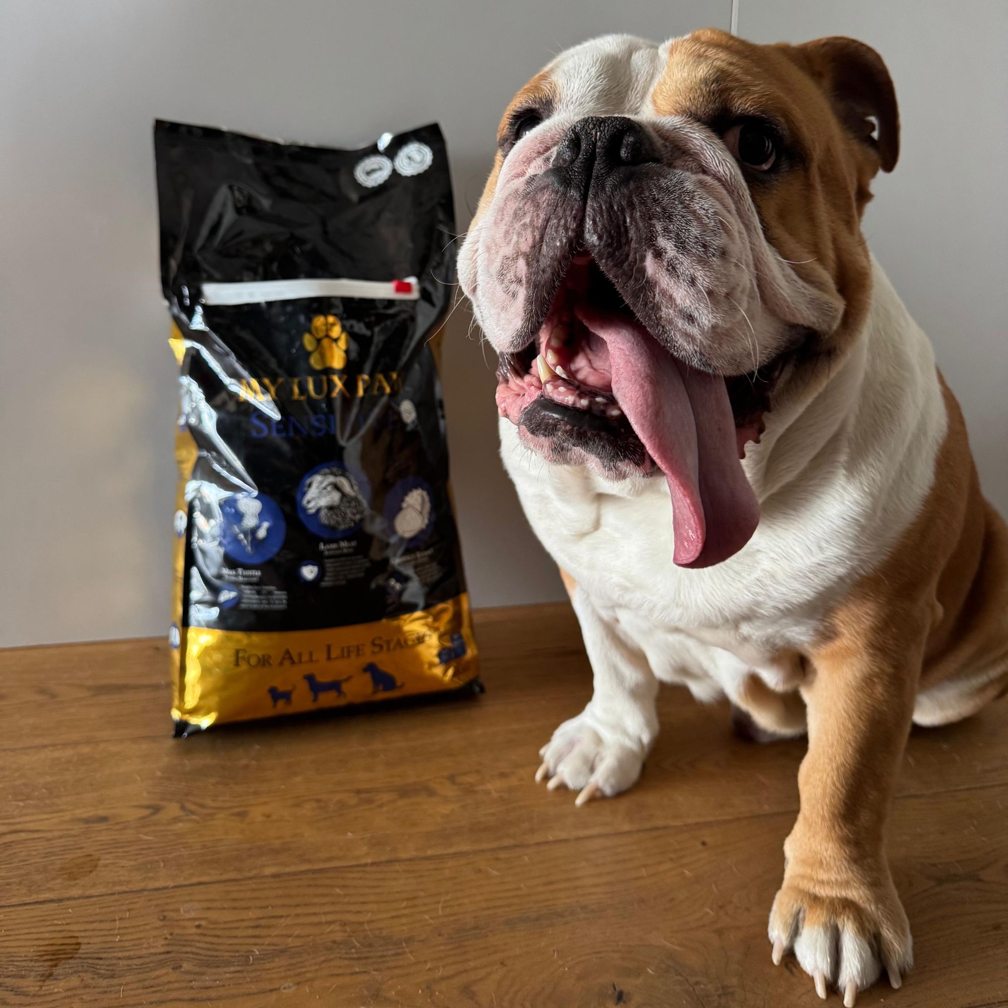 my lux paw naša skúsenosť